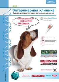 Ветеринарная клиника №4 2008