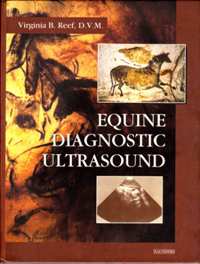 Equine diagnostik ultrasound