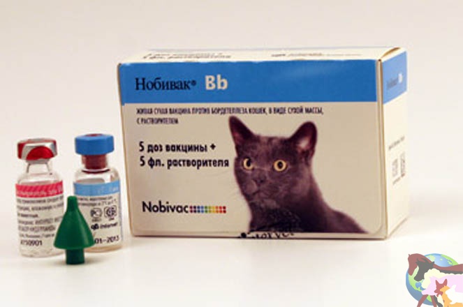Купить вакцину нобивак для кошек в москве. Nobivac Tricat Trio. Нобивак 6. Вакцина против лейкоза кошек. Нобивак для кошек.