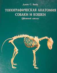 Д. Бойд "Топографическая анатомия собак и кошек"