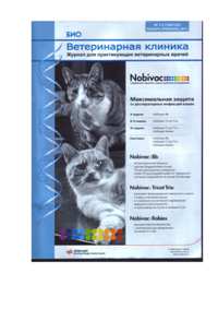 ветеринарная клиника №1-2 2011
